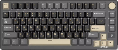 Клавиатура Royal Kludge RK-M75 RGB (Phantom, RK Silver) 