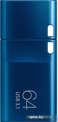 USB Flash Samsung USB-C 3.1 2022 64GB (синий) 