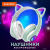 Наушники Daswerk STN-28 (мятный) 