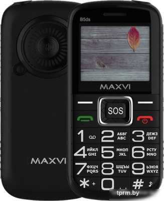 Кнопочный телефон Maxvi B5ds (черный) 