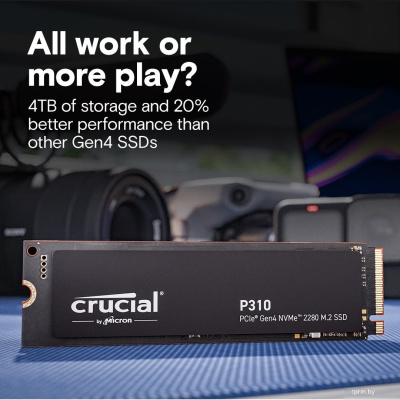 Crucial P310 500GB CT500P310SSD8 