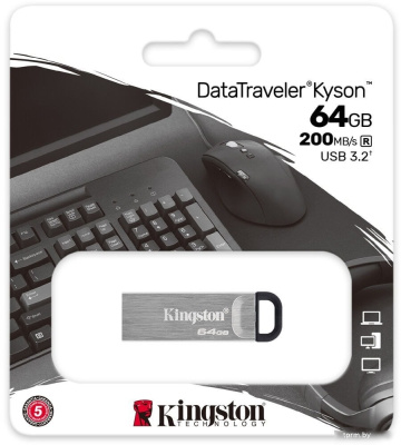 Kingston Kyson 64GB 