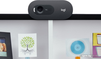 Веб-камера Logitech C505e 