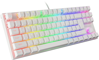 Клавиатура Genesis Thor 303 TKL RGB (белый, нет кириллицы) 