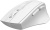 Мышь A4Tech Fstyler FG30 (белый) Мышь A4Tech Fstyler FG30 (белый)