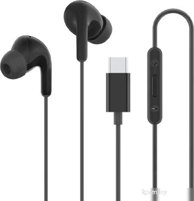 Наушники Xiaomi Type-C Earphones M2413E1 (черный, международная версия) 