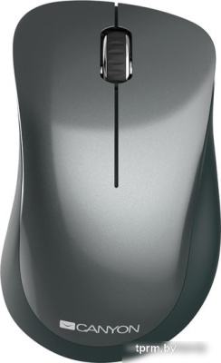 Мышь Canyon CNE-CMSW11B 