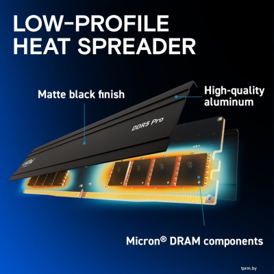 Оперативная память Crucial Pro 2x16ГБ DDR5 5600 МГц CP2K16G56C46U5 