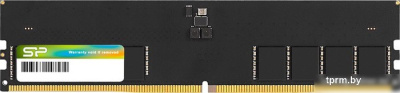 Оперативная память Silicon-Power 16ГБ DDR5 5200 МГц SP016GBLVU520F02