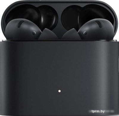 Наушники Xiaomi Mi True Wireless Earphones 2 Pro TWSEJ10WM 