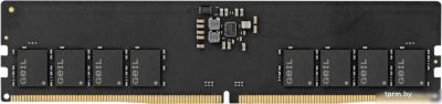 Оперативная память GeIL Pristine 16ГБ DDR5 4800 МГц GN516GB4800C40S 