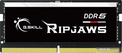 G.Skill Ripjaws 16ГБ DDR5 SODIMM 4800МГц F5-4800S4039A16GX1-RS 