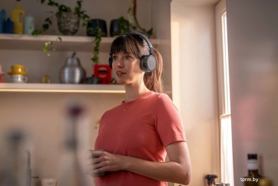 Наушники Philips TAH4209 (черный) 