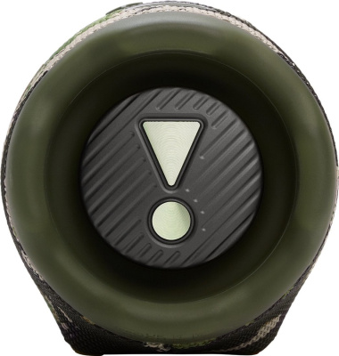 JBL Charge 6 (камуфляж) 