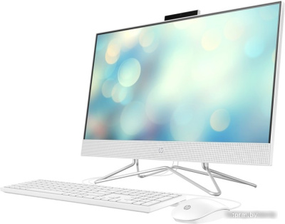 Моноблок HP 24-df1 4X5D8EA+SNV2S/250G 