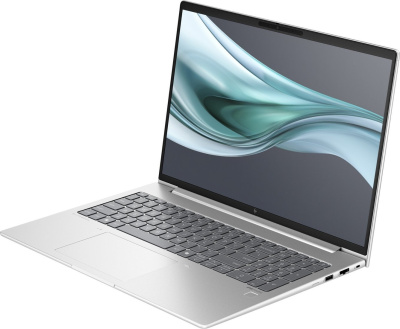 Ноутбук HP EliteBook 660 G11 9C075EA 
