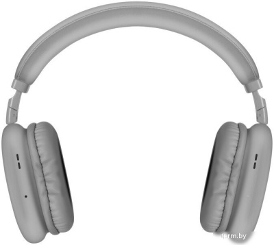 Наушники SVEN AP-B325MV (серый) 