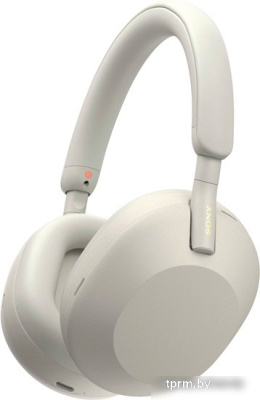 Наушники Sony WH-1000XM5 (серый) 