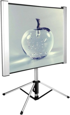 Проекционный экран CACTUS TriAlExpert 102x180 CS-PSTALE-180X102 