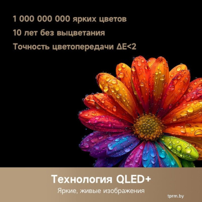 Dreame 100Q100 
