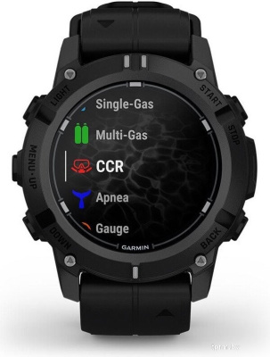 Garmin Descent G2 (черный) 