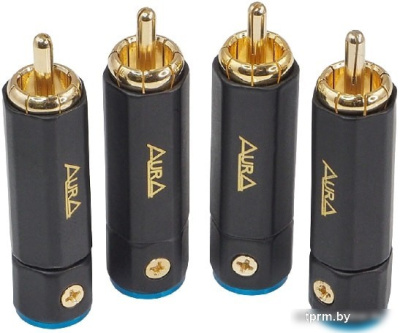 Aura RCA-P613 