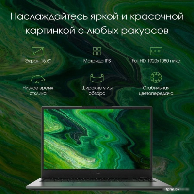 Ноутбук Digma Pro Fortis M DN15P3-8CXW04 