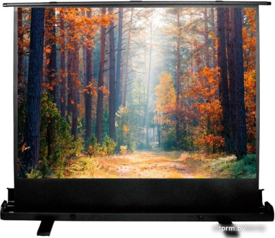 Проекционный экран CACTUS FloorExpert 150x200 CS-PSFLE-200X150 