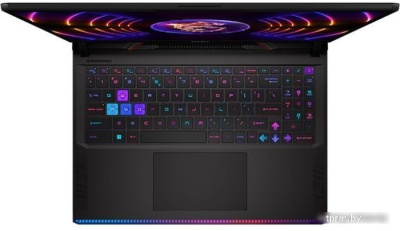 MSI Raider GE68HX 13VG-205RU 