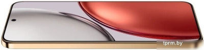 Телефон HONOR X9d 12GB/256GB международная версия (терракотовый) 