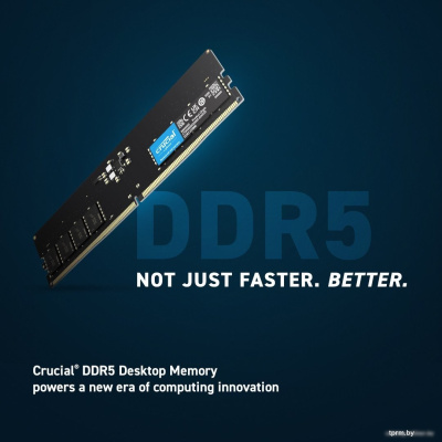Оперативная память Crucial 16ГБ DDR5 5600 МГц CT16G56C46U5T 