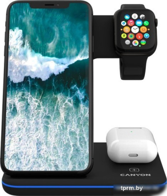 Canyon WS-303 (черный) 