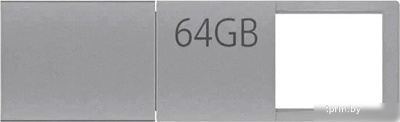 Xiaomi Dual-Interface 64GB XMUP21YM 