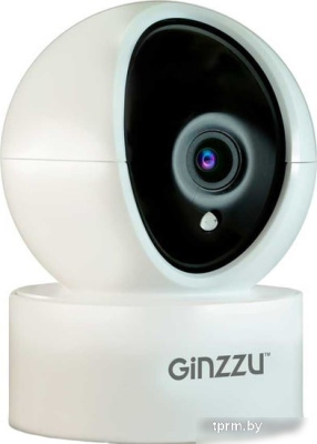 IP-камера Ginzzu HWD-2301A 