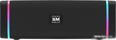 Беспроводная колонка Soundmax SM-PS5019B (черный) 