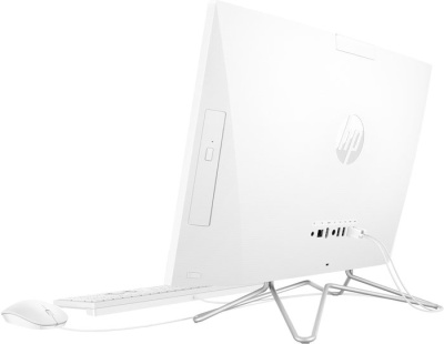 Моноблок HP 24-df1 4X5D8EA+SNV2S/250G 