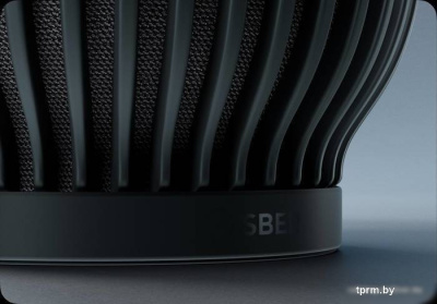 Умная колонка SberDevices SberBoom (черная материя) 