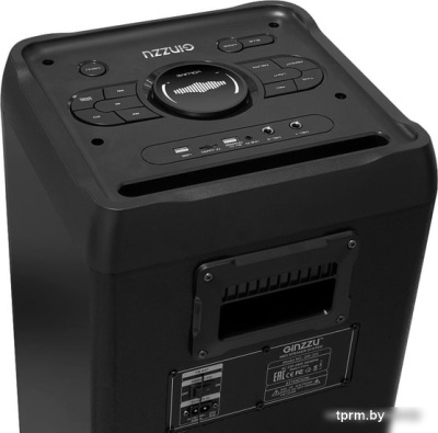 Колонка для вечеринок Ginzzu GM-205 