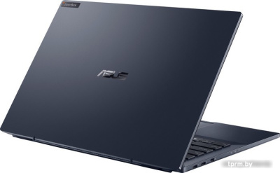 Ноутбук ASUS ExpertBook B5 B5302CBA-EG0389X 