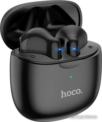 Наушники Hoco ES56 (черный) 