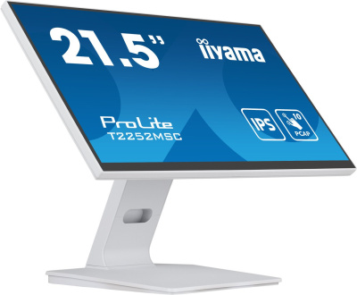 Монитор Iiyama ProLite T2252MSC-W2 