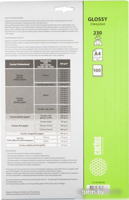 CACTUS Глянцевая A4 230 г/кв.м. 100 листов (CS-GA4230100) 