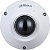 IP-камера Dahua DH-IPC-EB5541P-AS 