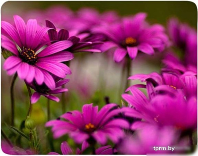 Коврик для мыши Buro BU-M20045 