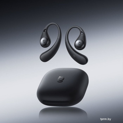 Наушники Baseus Eli Sport 2 (черный) 