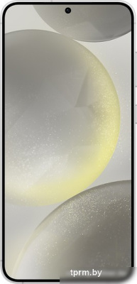 Смартфон Samsung Galaxy S24+ 12GB/256GB SM-S926B Exynos (серый) 