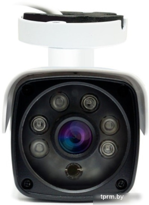 IP-камера Ginzzu HIB-5303A 