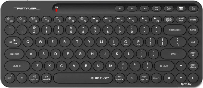 Клавиатура A4Tech Fstyler FBK36C AS (черный) 