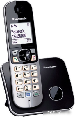 Радиотелефон Panasonic KX-TG6811RUB 