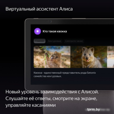 Яндекс Станция Дуо Макс (бежевый) 